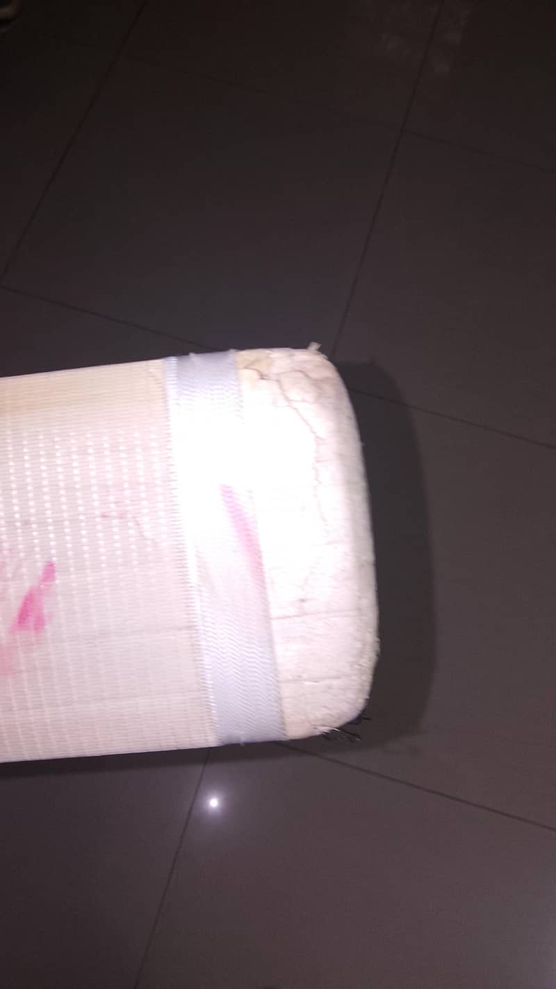 cricket 1