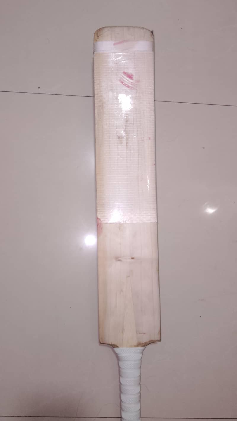 cricket 3