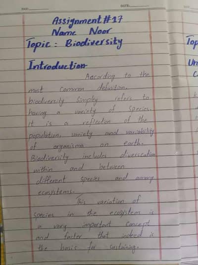 buchieal English assignment work available 2026