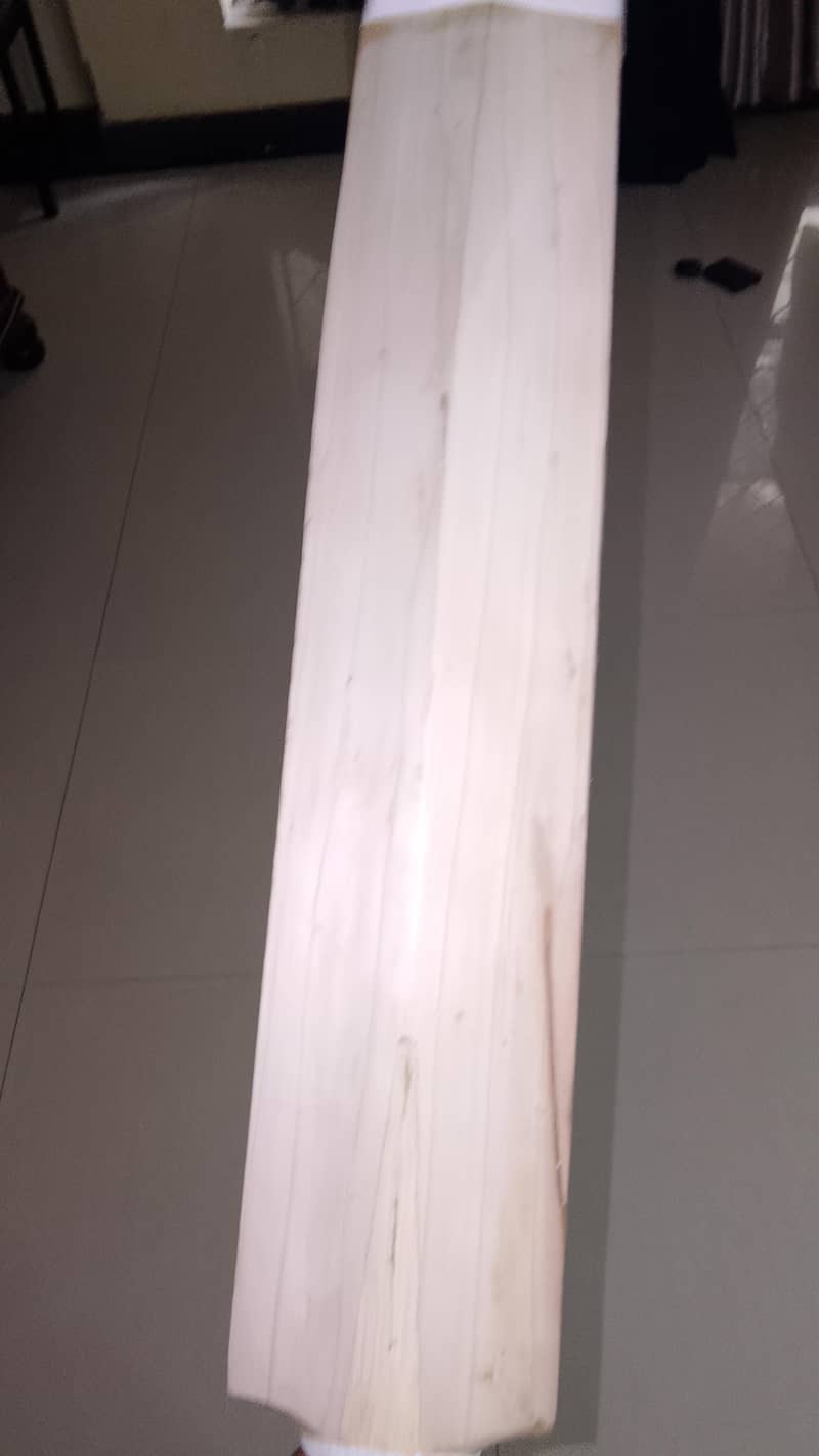 cricket 4