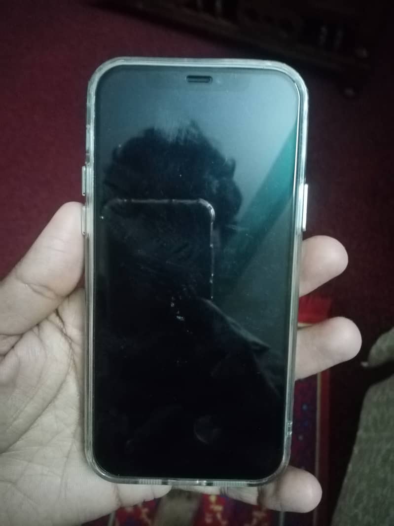 Apple iPhone 12 1