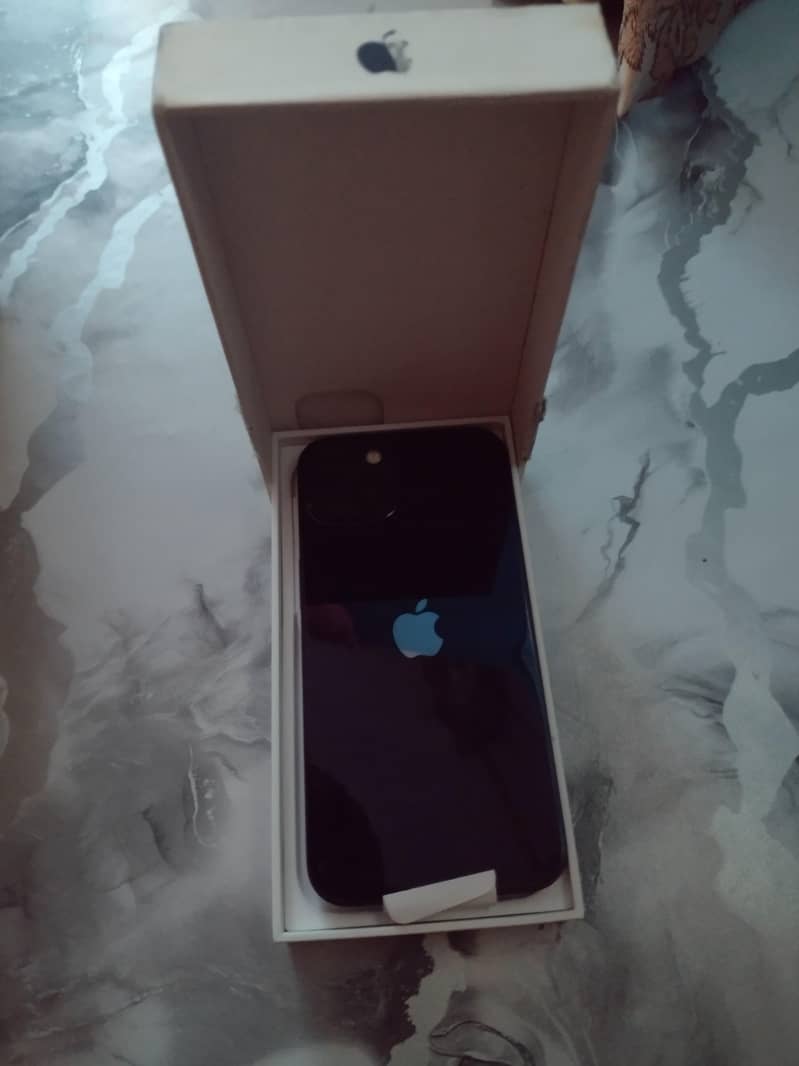 Apple iPhone 13 1
