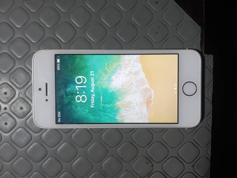 Apple iPhone 5s 1