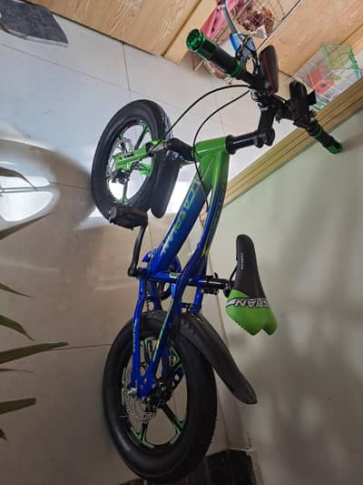 Brand New Cycle for kids
