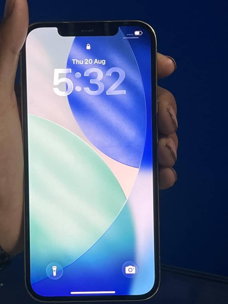 Apple iPhone 12 Pro Max 1