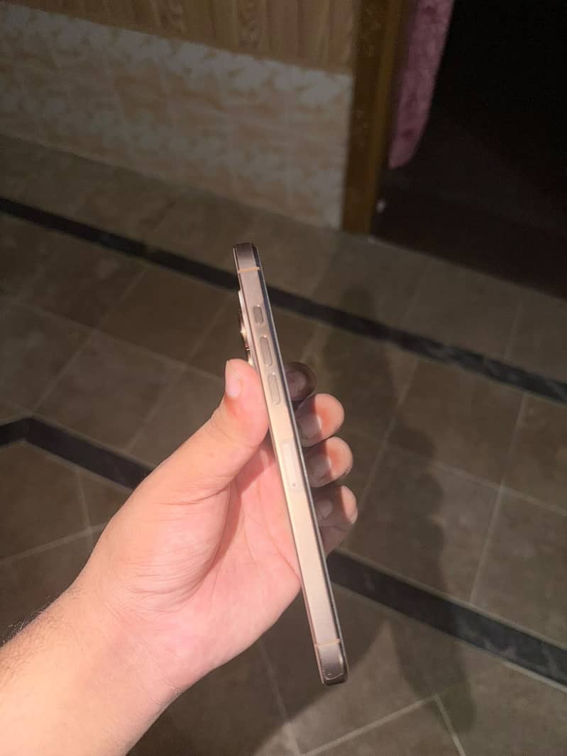 Apple iPhone 16 Pro Max 1