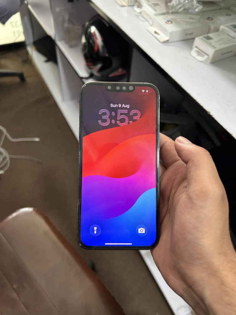 13 PRO 2