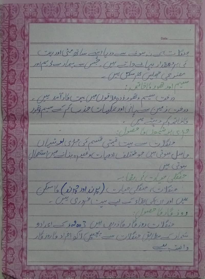 AIOU Spring Assignment 6