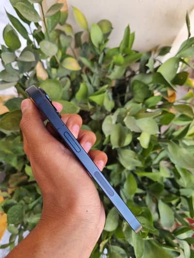 Apple iPhone 14