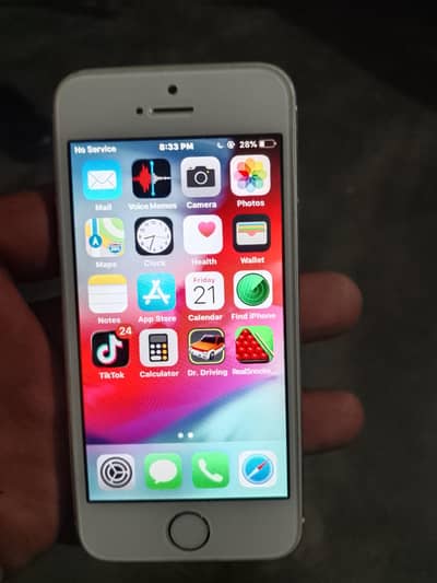 Apple iPhone 5s