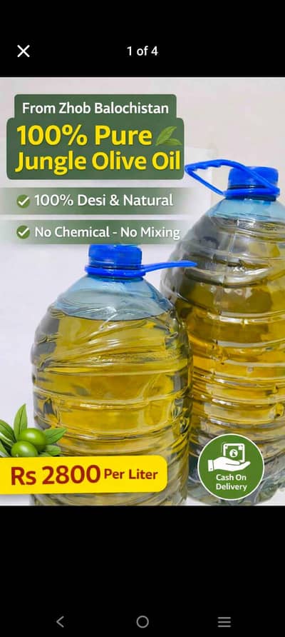 Zatoon Oil