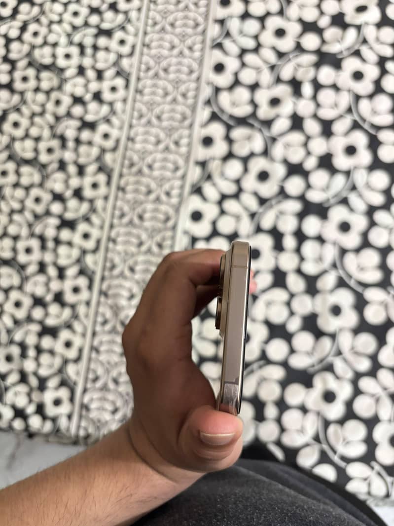 Apple iPhone 16 Pro Max 1