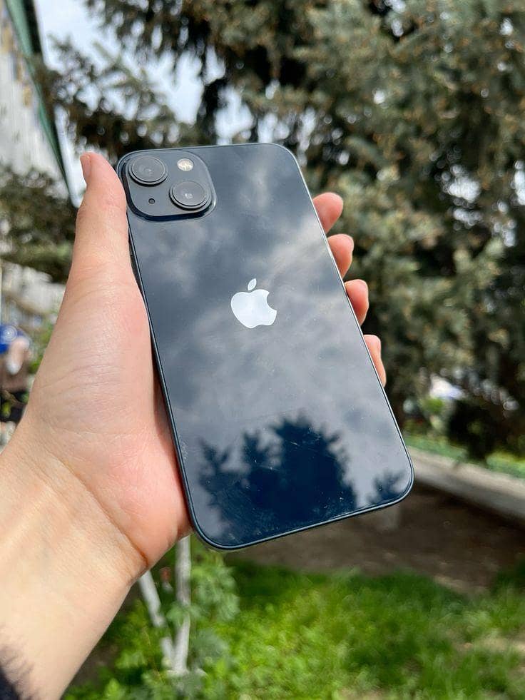 Apple iPhone 13 0