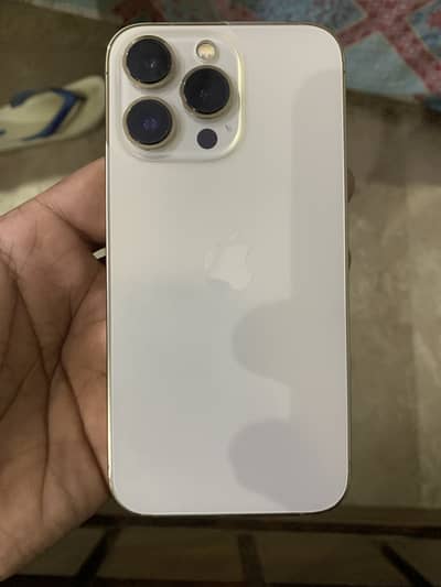 Apple iPhone 13 Pro