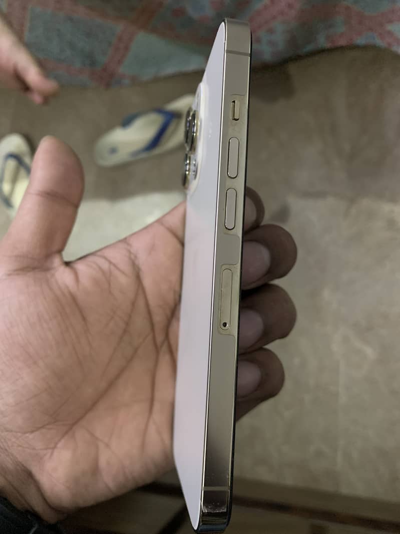 Apple iPhone 13 Pro 1