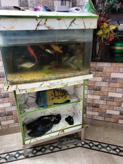 FISH EQURIAM0323001119