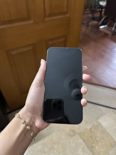 Apple iPhone 13 Pro