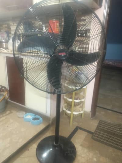 Pedestal Fan 24 "