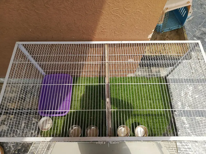 Pet Cage 4ftx 2 ft — photo 2