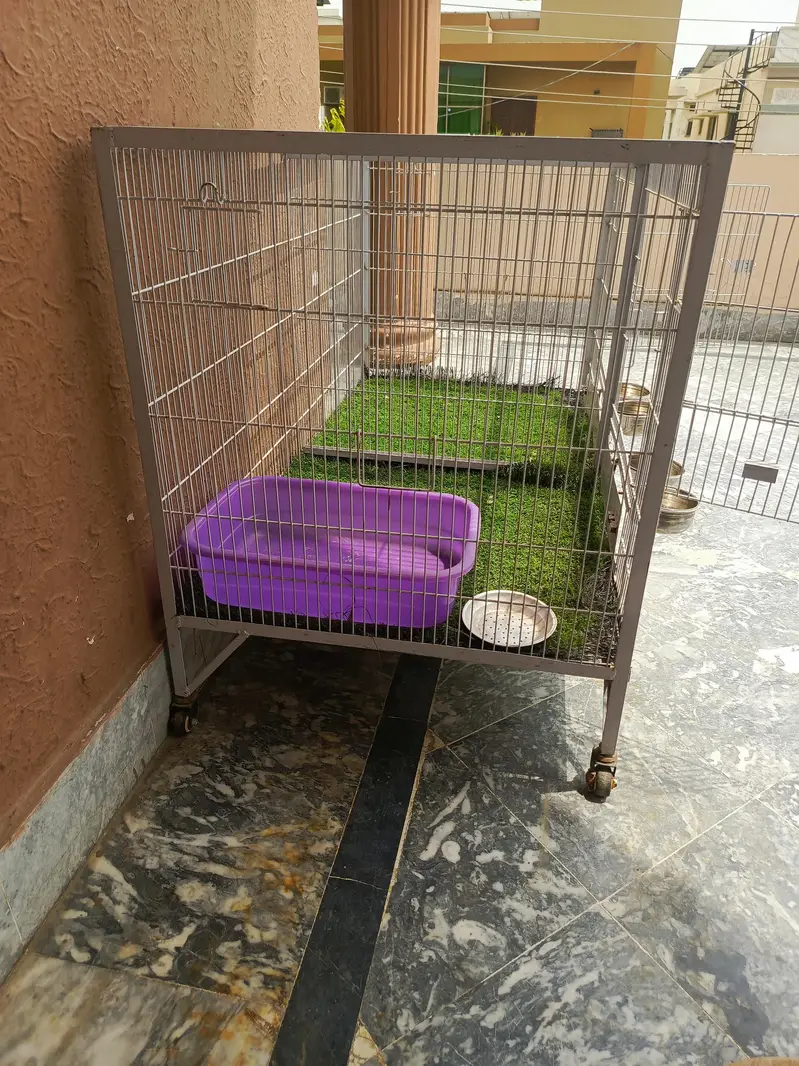Pet Cage 4ftx 2 ft — photo 3