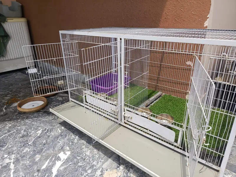Pet Cage 4ftx 2 ft — photo 4