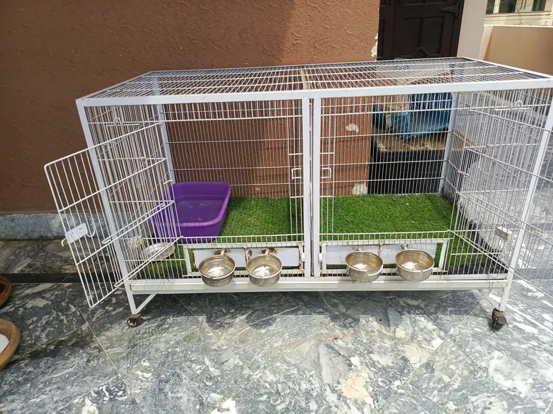 Pet Cage 4ftx 2 ft — photo 5