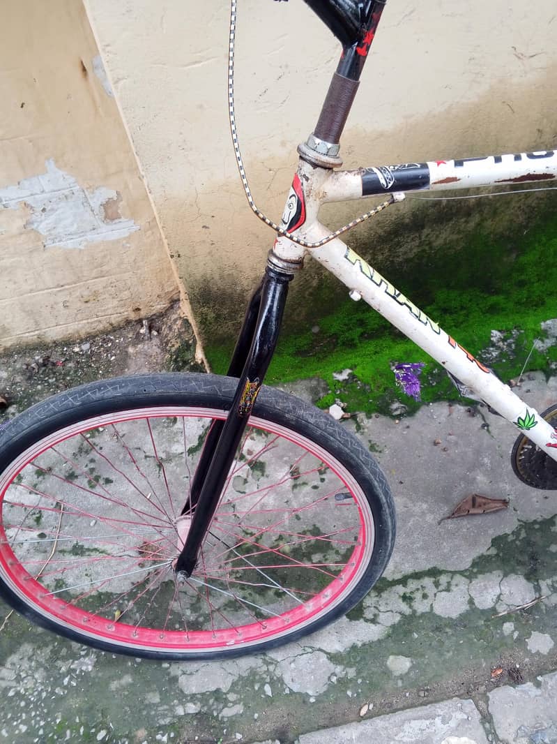 fonix cycle 6