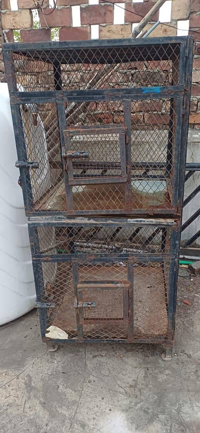 birds cage