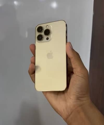 Apple iPhone 13 Pro dual pta approved