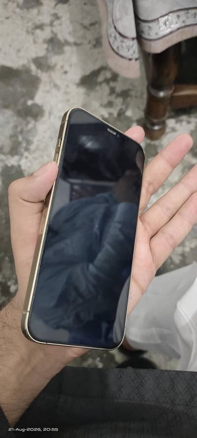 Apple iPhone 12 Pro Max