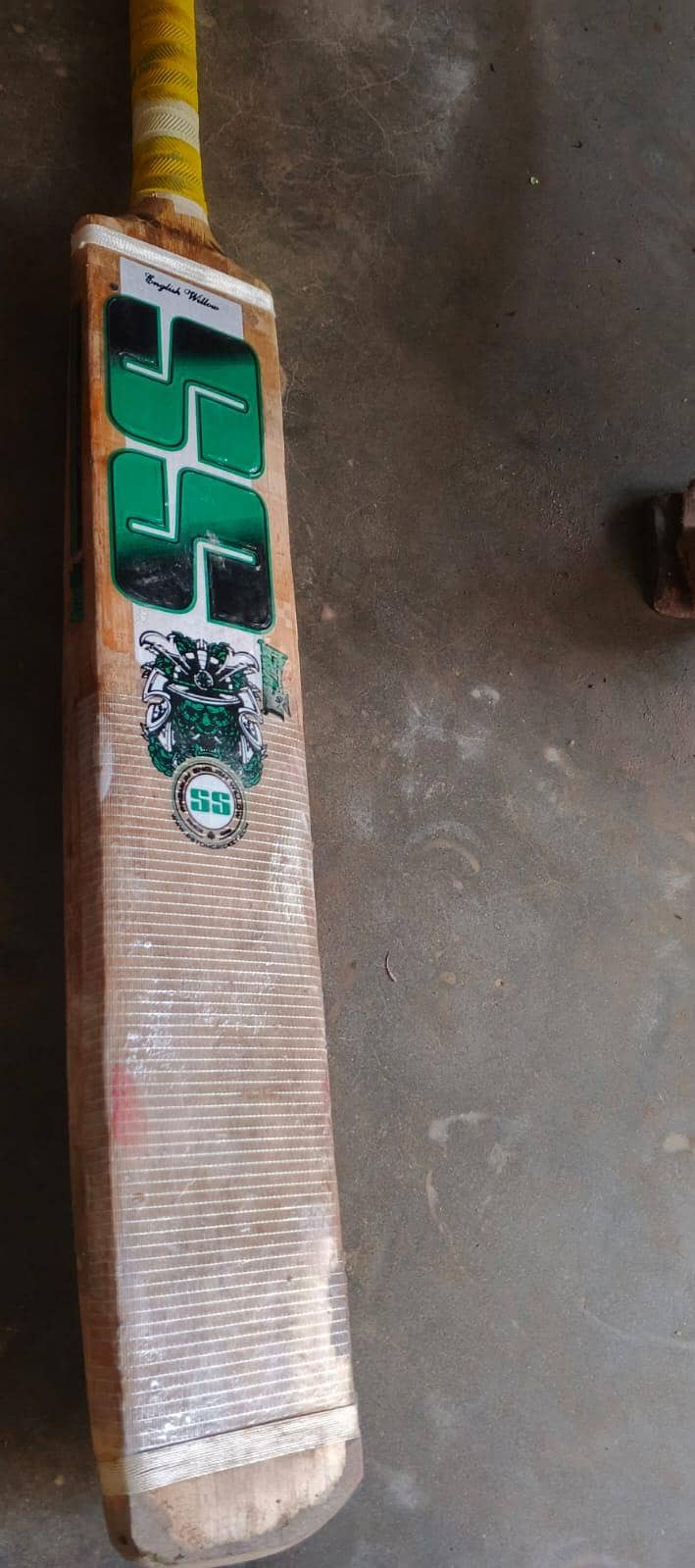 Cricket kit 1
