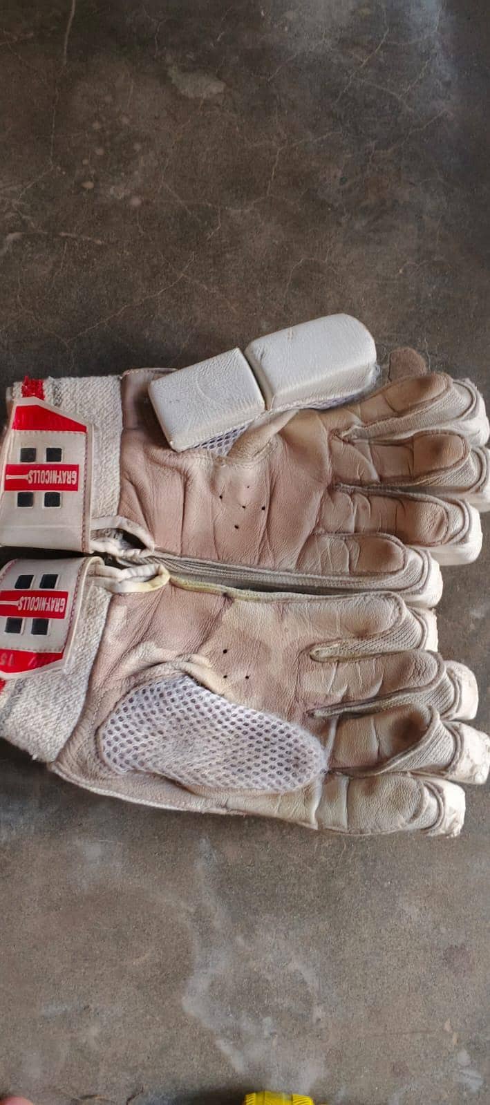 Cricket kit 5