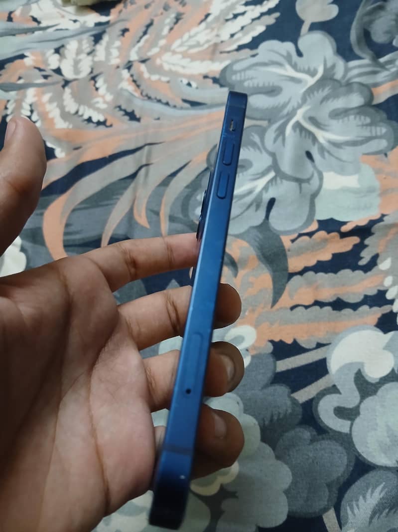 Apple iPhone 12 1
