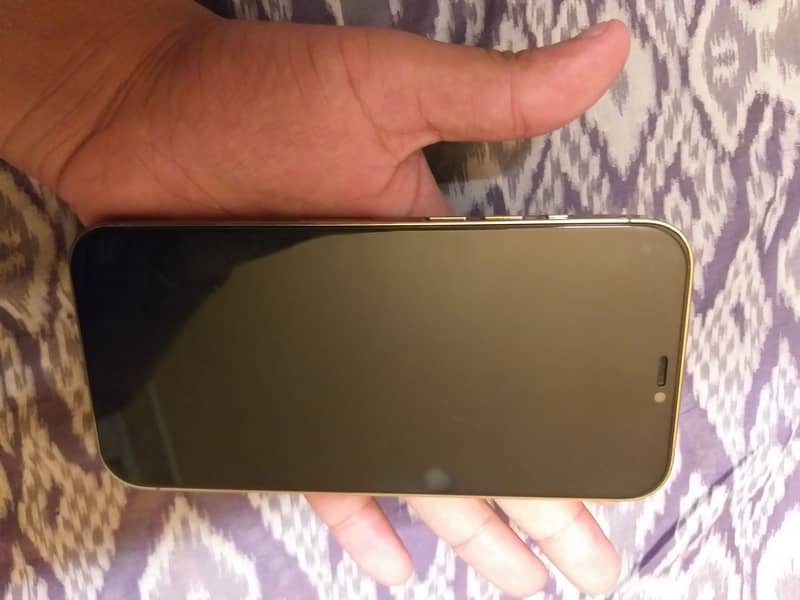 Apple iPhone 12 Pro Max 6