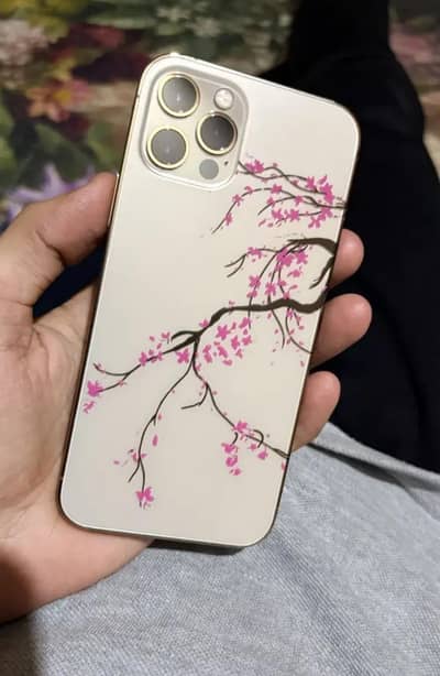 Apple iPhone 12 Pro 256 GB Full Ok totally Guanine Okay FU Model