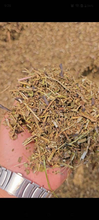 lossen r mungi ka missa dealer rate par