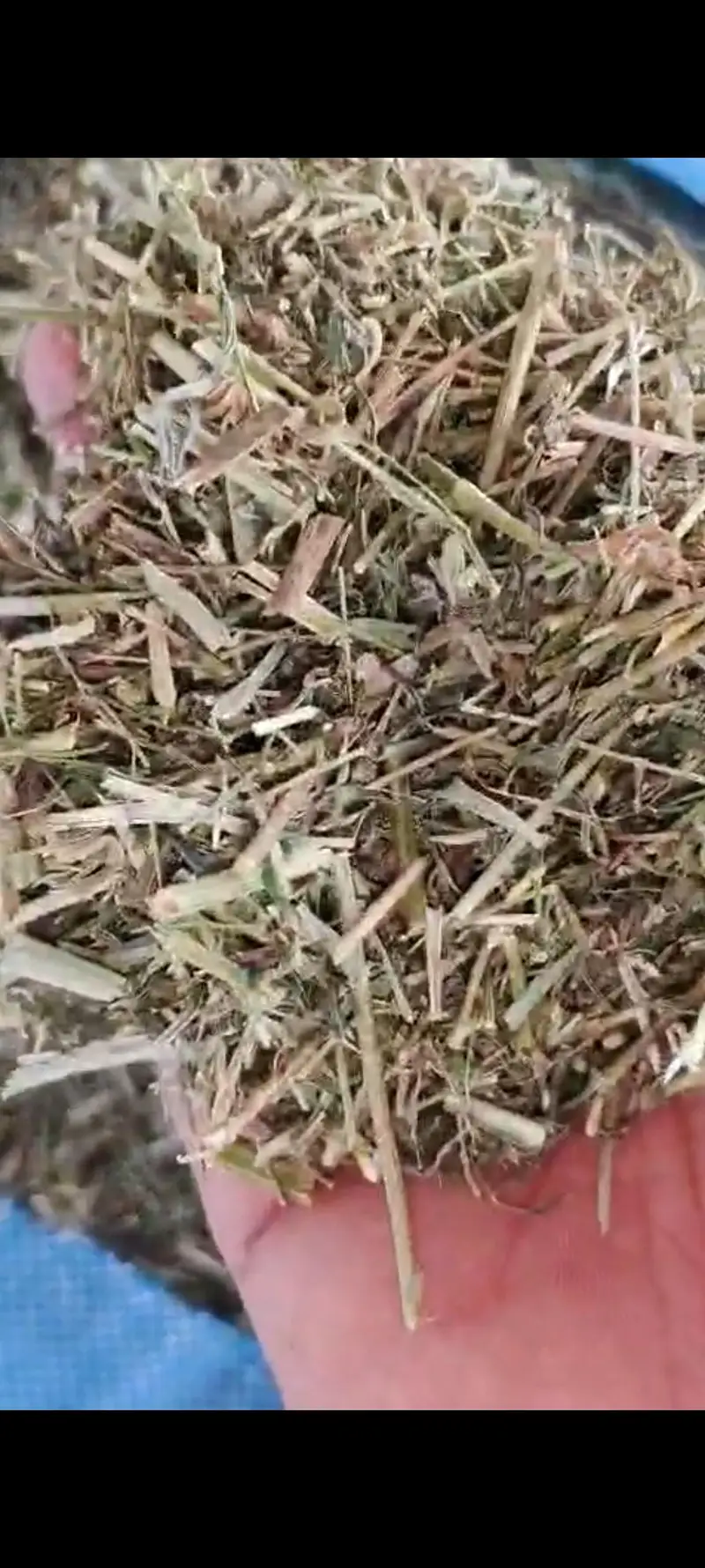 lossen r mungi ka missa dealer rate par — photo 2