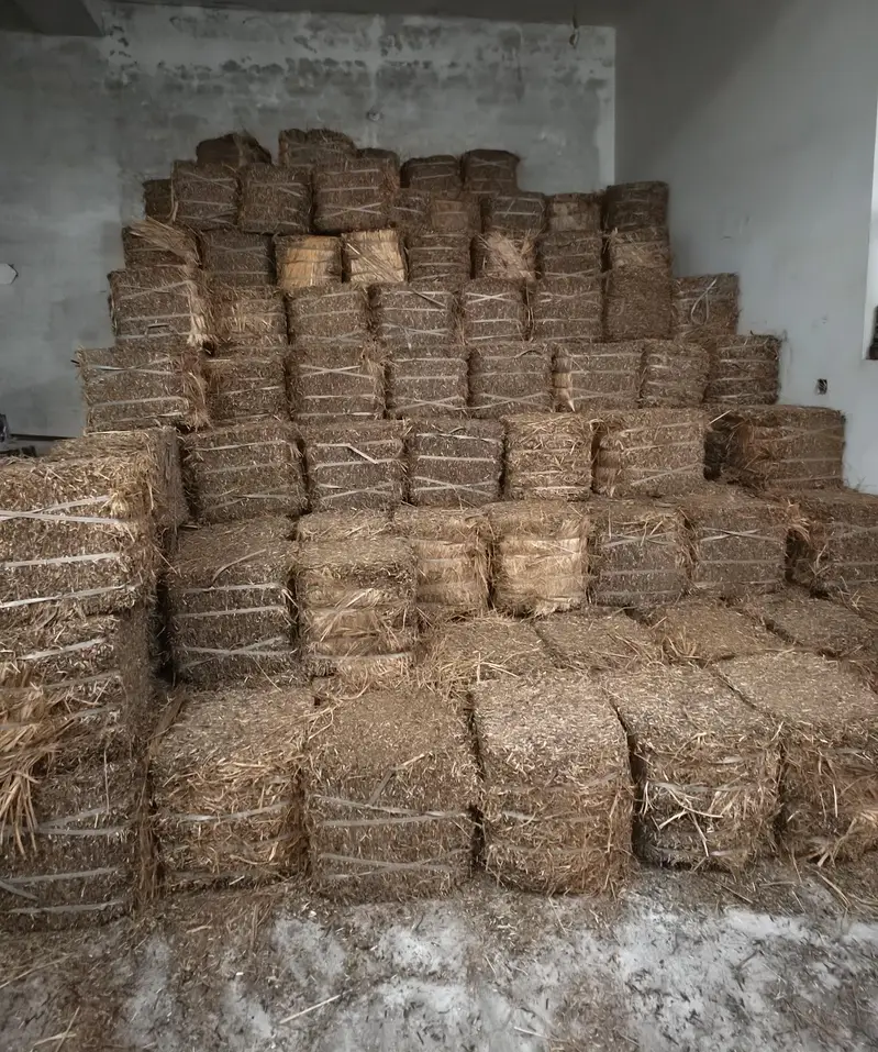 lossen r mungi ka missa dealer rate par — photo 3