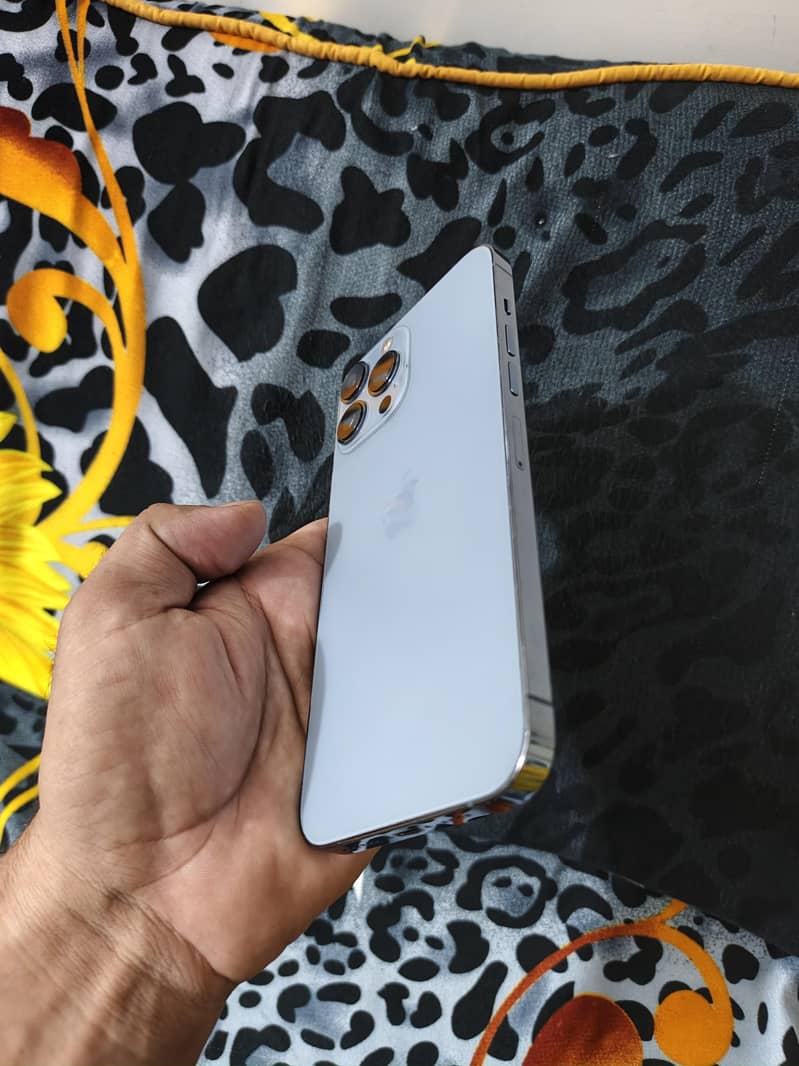 Apple iPhone 13 Pro Max 1