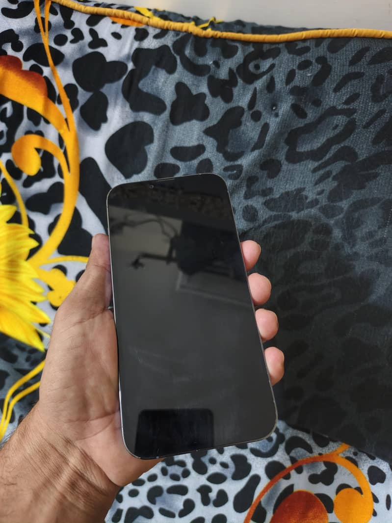 Apple iPhone 13 Pro Max 2