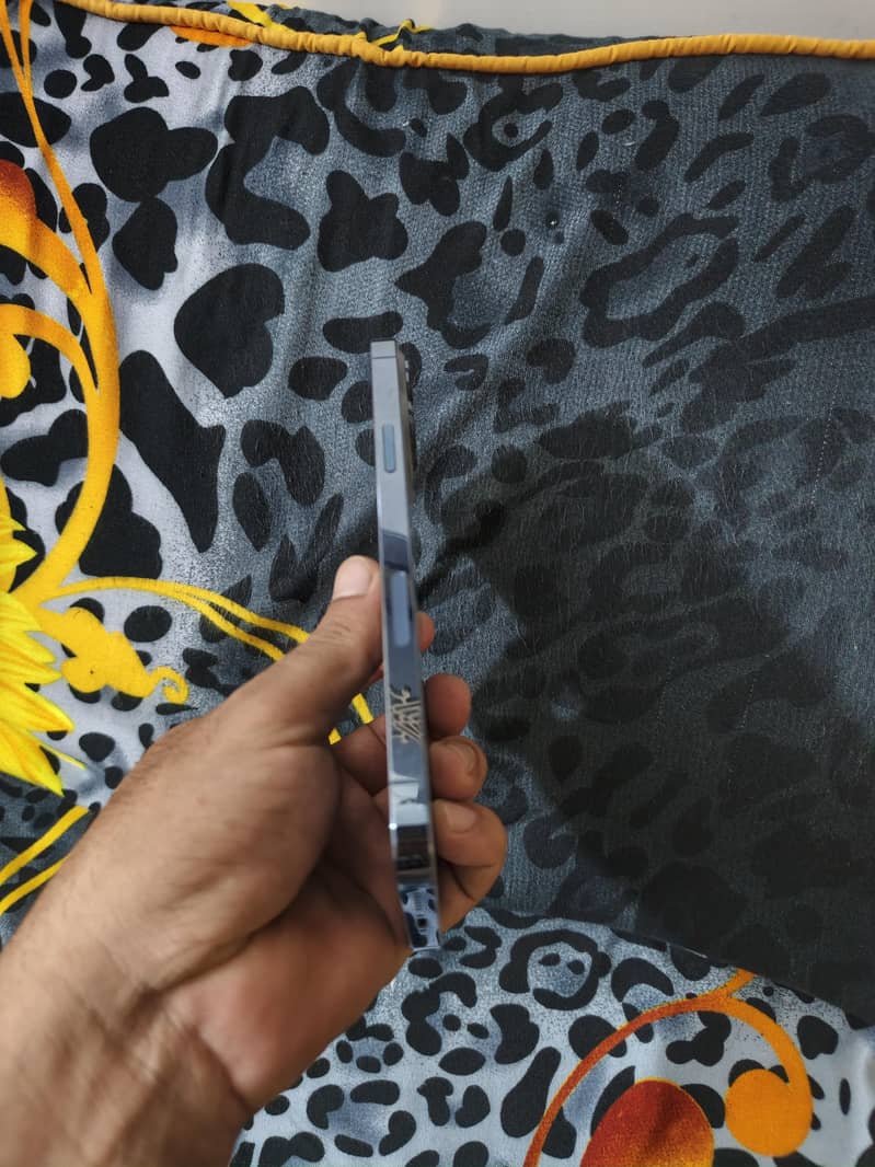 Apple iPhone 13 Pro Max 3