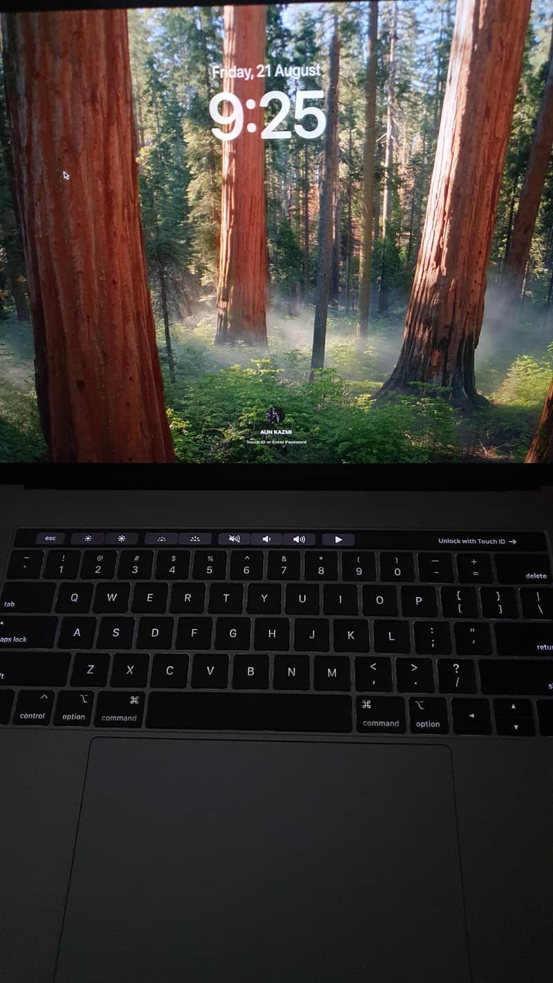 macbook pro 2019 0