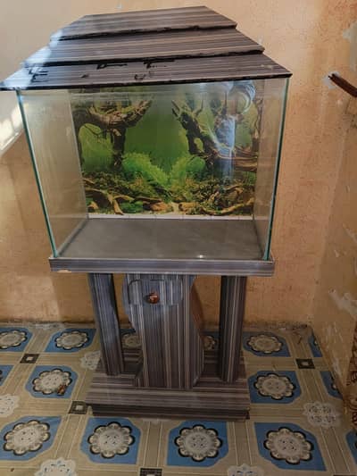 Aquarium Tank and Wooden Stand for Sale