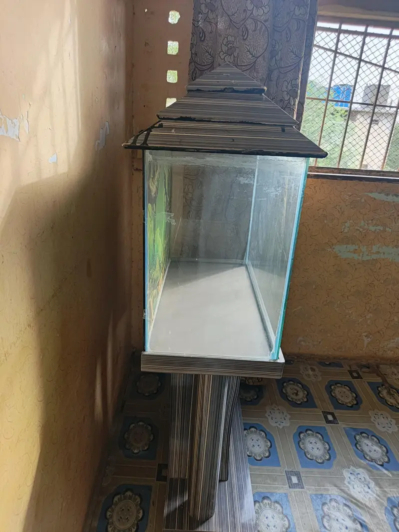 Aquarium Tank and Wooden Stand for Sale — photo 4