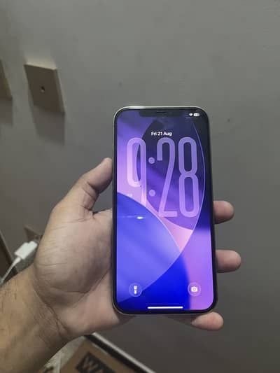 Apple iPhone 12 Pro Max
