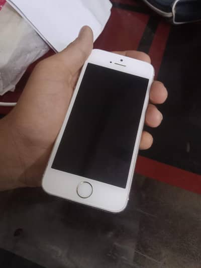 Apple iPhone 5s