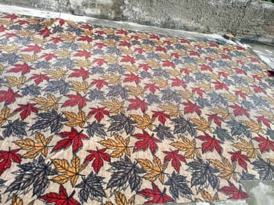 Carpet 12x25