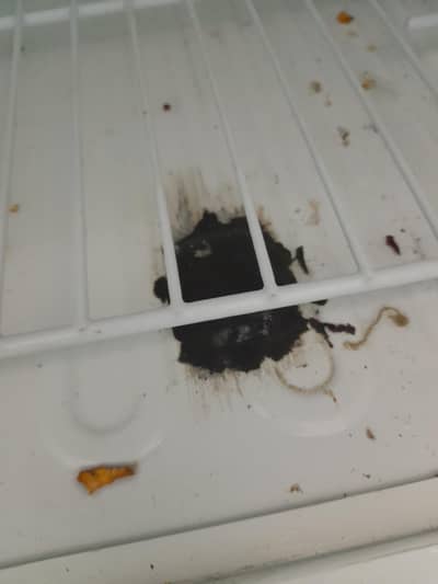 PEL Refrigerator