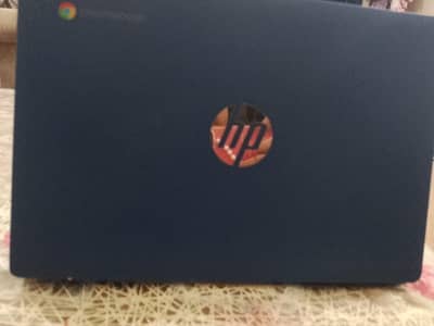 hp chrome book