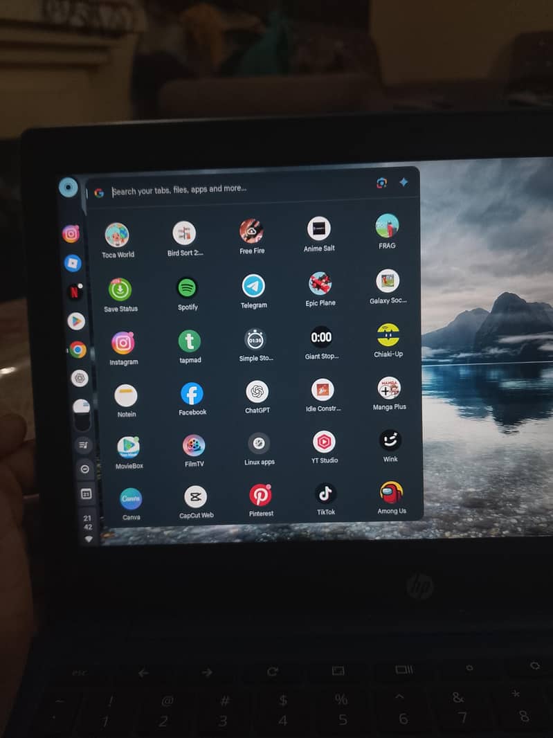 hp chrome book 4